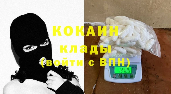 спайс Богданович